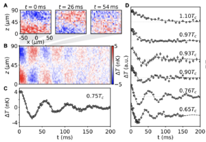 Second sound in a superfluid